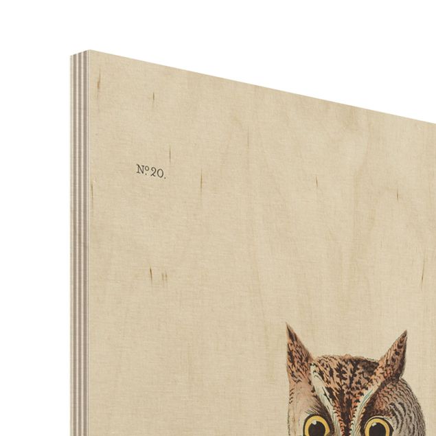 Trätavlor Vintage Board Screech Owl