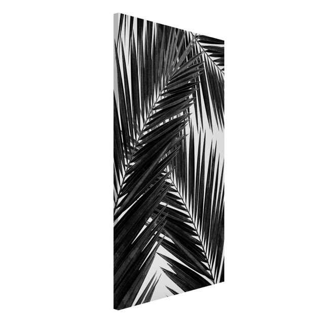 Kök dekoration View Through Palm Leaves Black And White