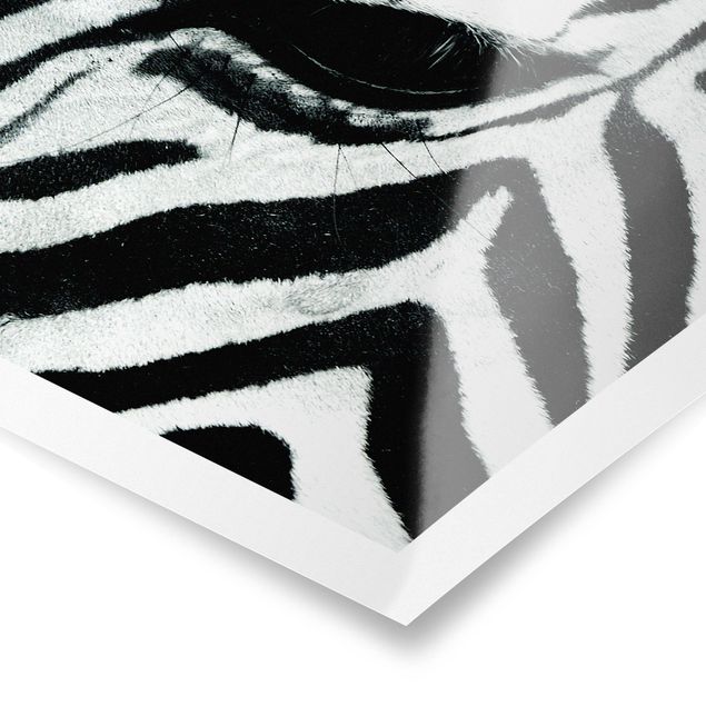 Tavlor svart och vitt Zebra Crossing No.3