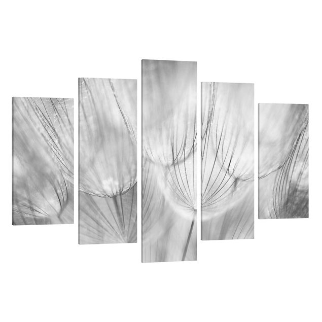 Canvastavlor bergen Dandelion Macro Shot In Black And White
