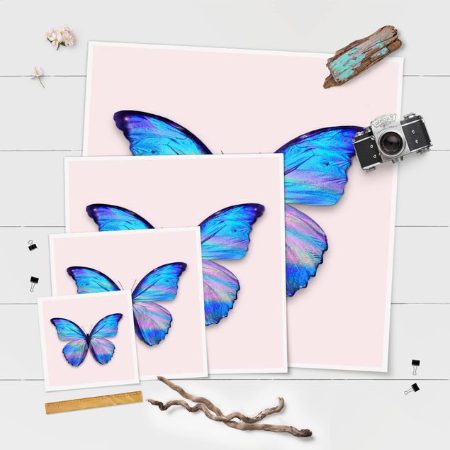Tavlor Jonas Loose Holographic Butterfly
