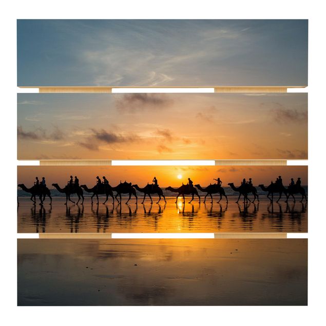 Trätavlor Camels in the sunset