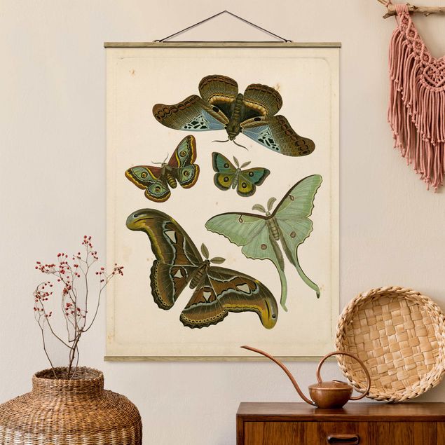 Kök dekoration Vintage Illustration Exotic Butterflies II
