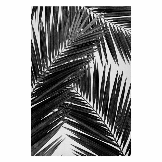 Tavlor landskap View Through Palm Leaves Black And White