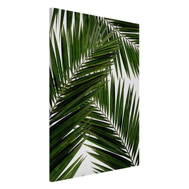 Kök dekoration View Through Green Palm Leaves