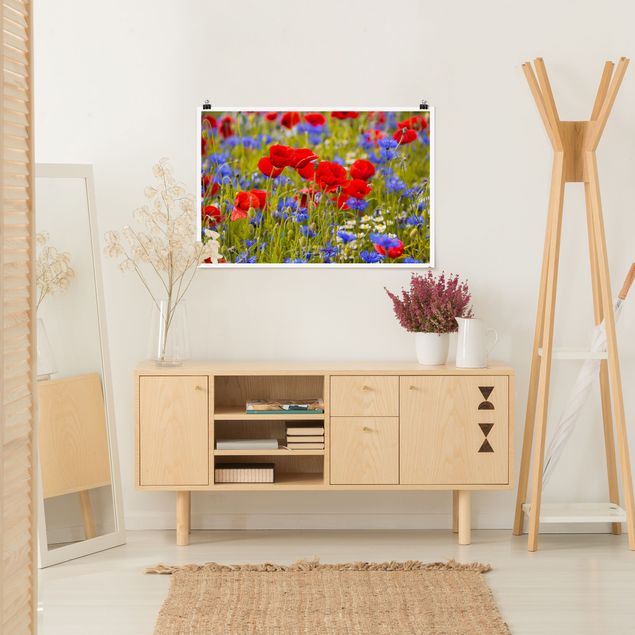 Posters blommor  Summer Meadow With Poppies And Cornflowers