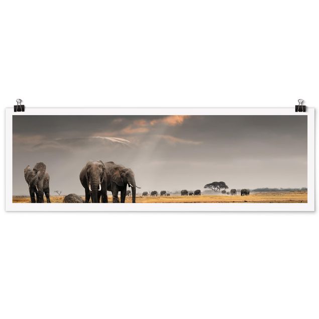 Posters landskap Elephants in the Savannah