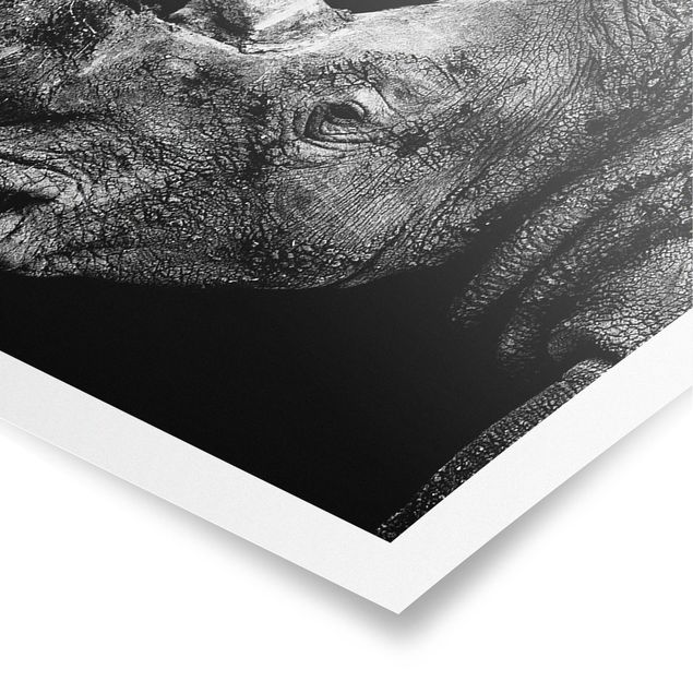 Tavlor svart och vitt Rhino Duel