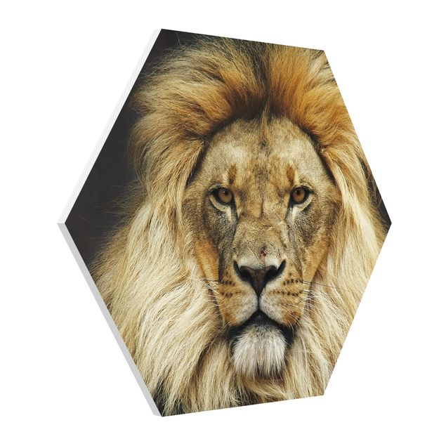 Tavlor djur Wisdom Of Lion