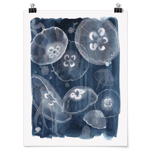 Tavlor djur Moon Jellyfish II