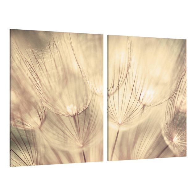 Canvastavlor blommor  Dandelions Close-Up In Cozy Sepia Tones