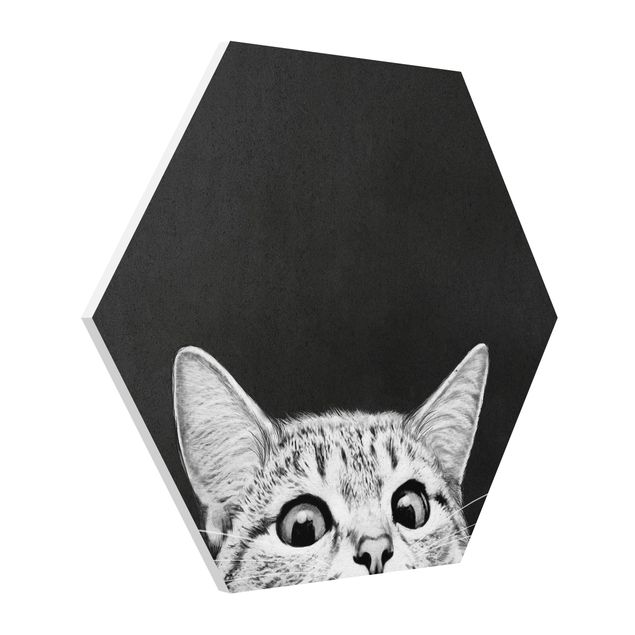 Tavlor konstutskrifter Illustration Cat Black And White Drawing