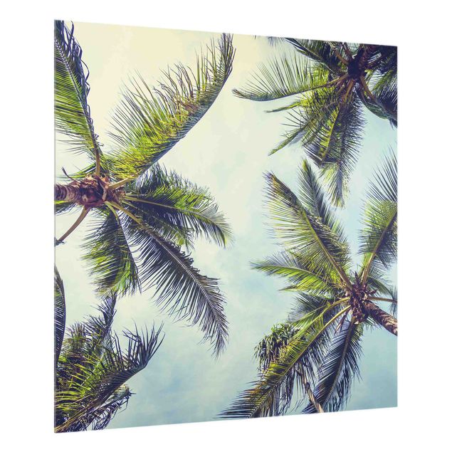 glasskiva kök The Palm Trees