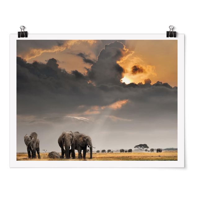 Posters landskap Elephants in the Savannah