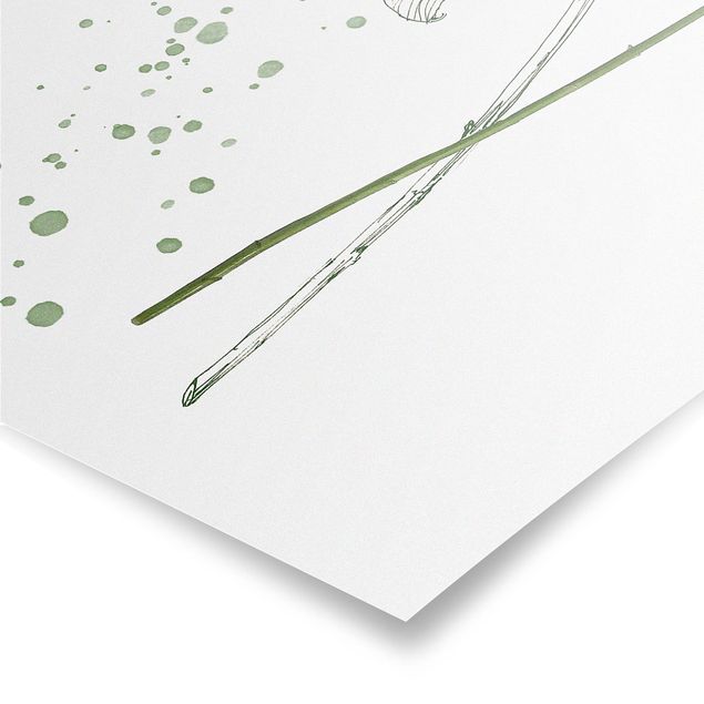 Tavlor Botanical Watercolour - Lily