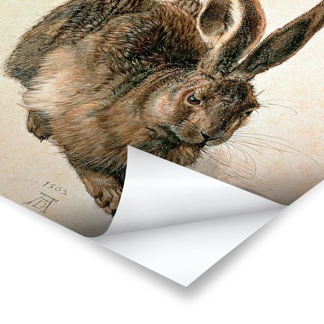 Posters djur Albrecht Dürer - Young Hare