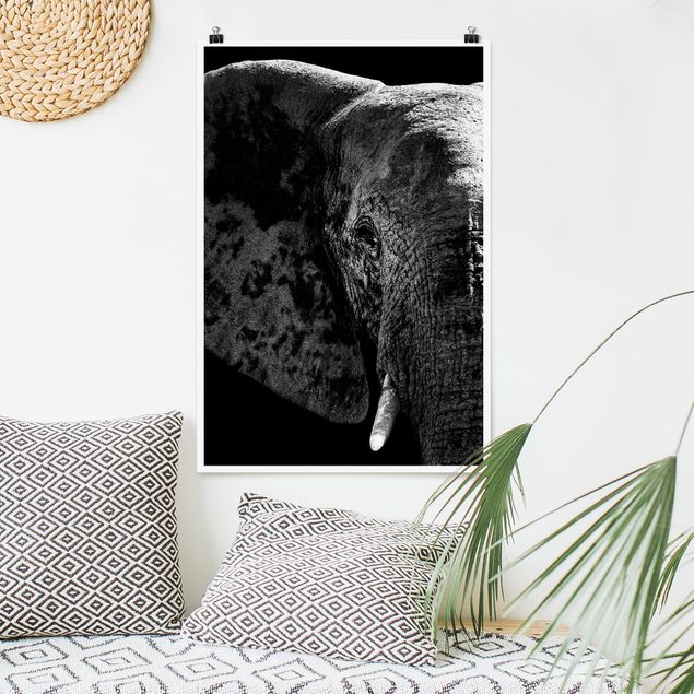 Kök dekoration African Elephant black and white