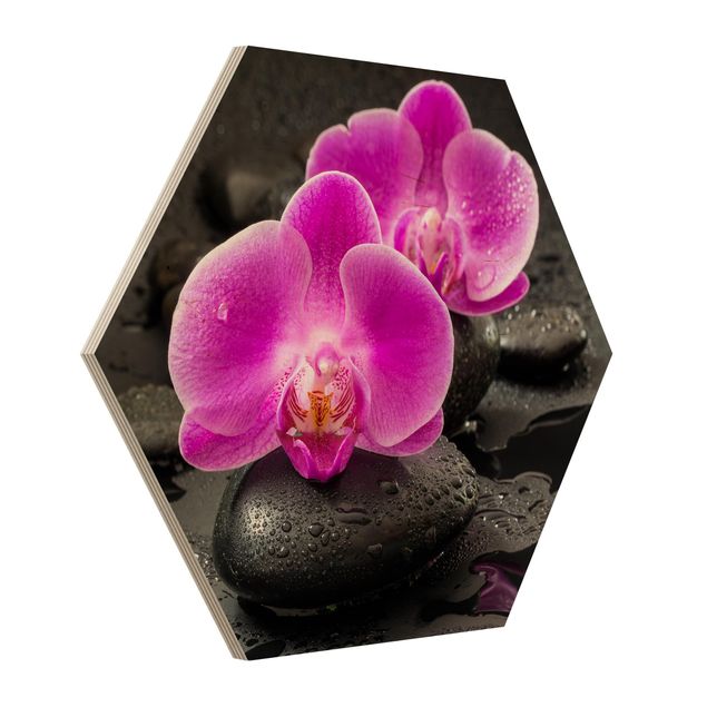 Tavlor blommor Pink Orchid Flowers On Stones With Drops