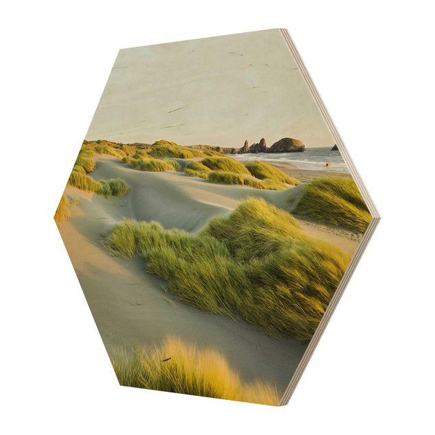Tavlor Dunes And Grasses At The Sea