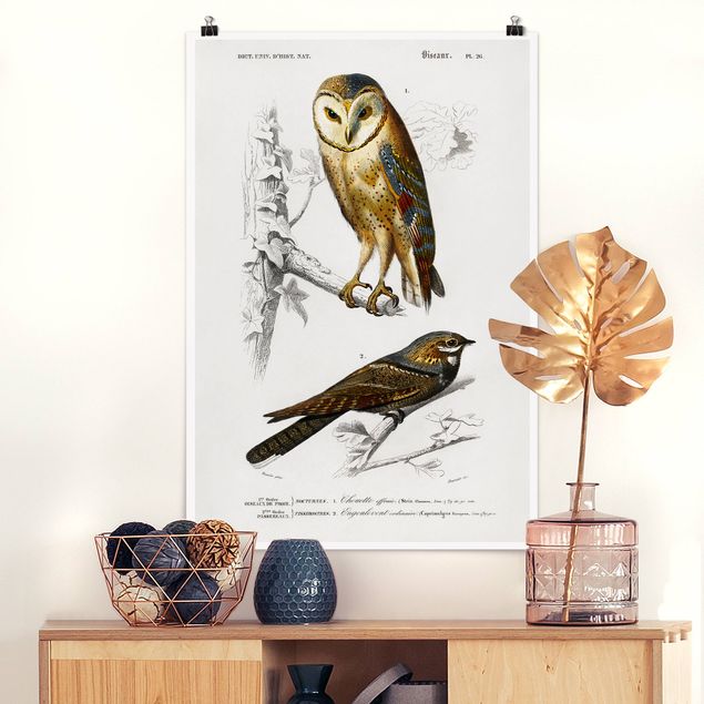 Kök dekoration Vintage Board Owl And Swallow
