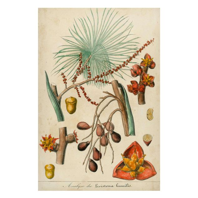 Magnettavla blommor  Vintage Board Exotic Palms III