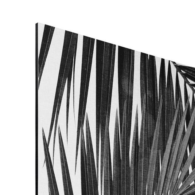 Tavlor konstutskrifter View Through Palm Leaves Black And White