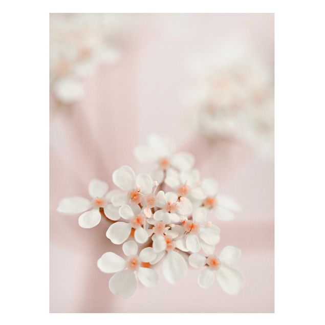 Magnettavla blommor  Mini Flowers In Pink Light