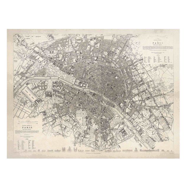 Tavlor Paris Vintage Map Paris