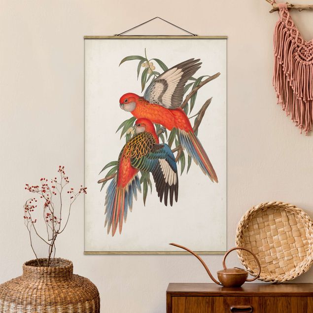 Kök dekoration Tropical Parrot I