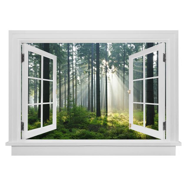 Autocolantes de parede 3D Open Window Enlightened Forest
