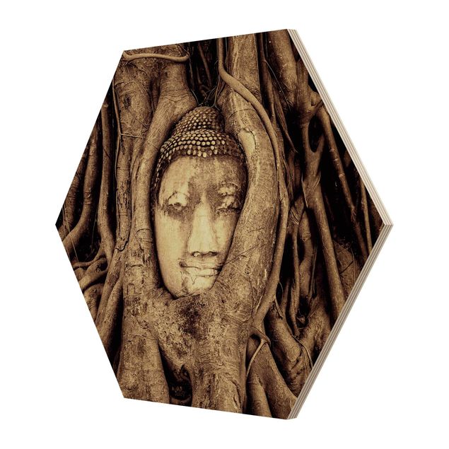 Hexagonala tavlor Buddha In Ayutthaya Lined From Tree Roots In Brown