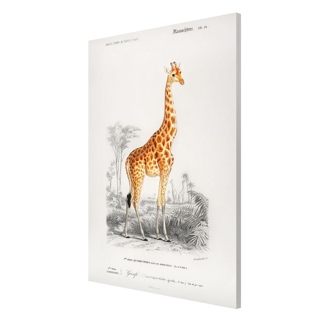 Magnettavla djur Vintage Board Giraffe