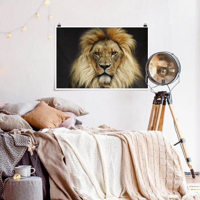 Posters djur Wisdom Of Lion