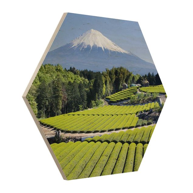 Hexagonala tavlor Tea Fields In Front Of The Fuji