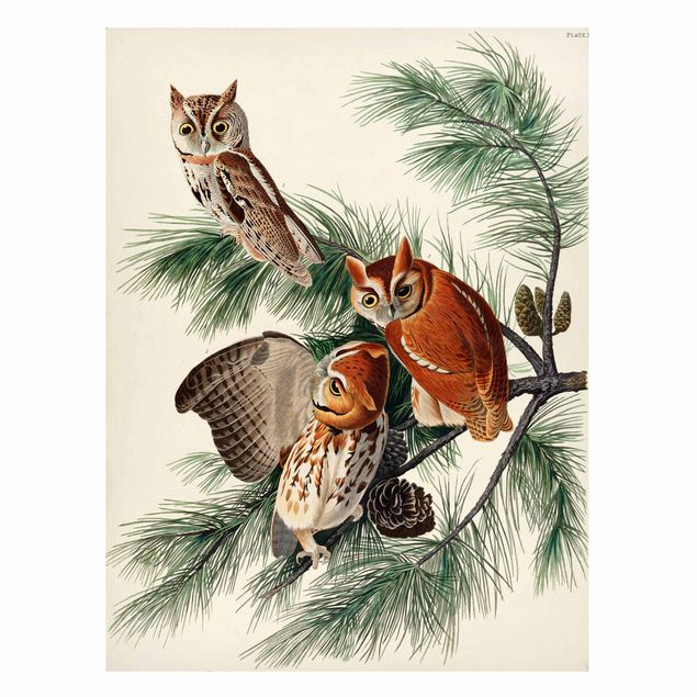 Tavlor träd Vintage Board Screech Owl