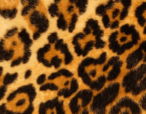 Brevlådor gul Jaguar Skin