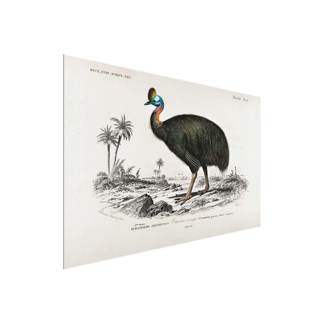 Glastavlor djur Vintage Board Emu