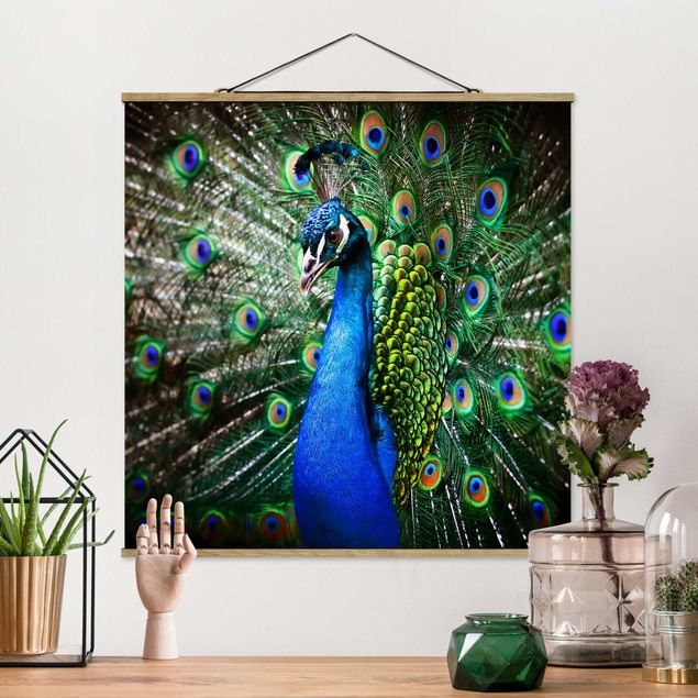 Kök dekoration Noble Peacock