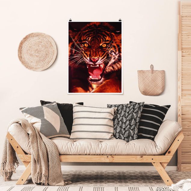 Posters djur Wild Tiger