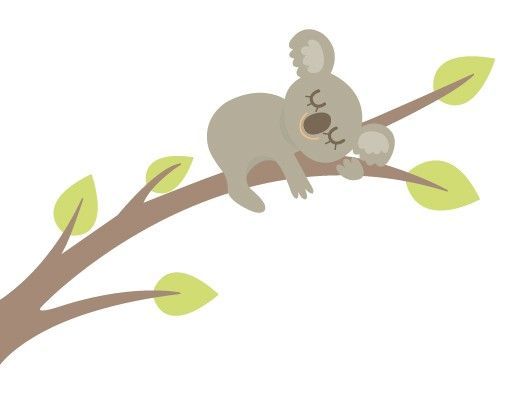 Autocolantes de parede animais No.EV101 Teddy Koala