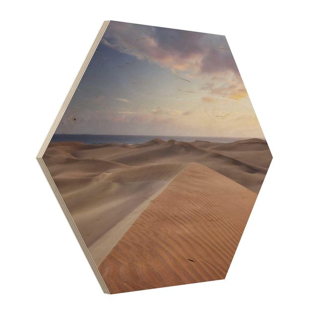 Tavlor Rainer Mirau View Of Dunes