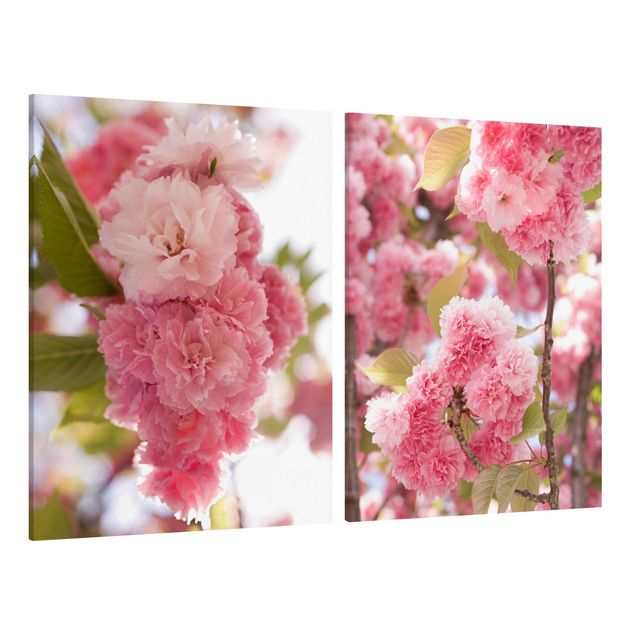 Tavlor blommor  Japanese Cherry