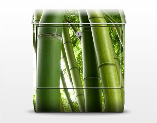 Brevlådor grön Bamboo Trees No.1