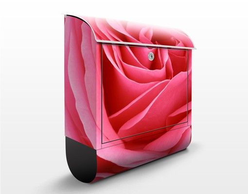 Brevlådor blommor  Lustful Pink Rose