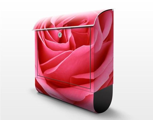 Brevlådor Lustful Pink Rose