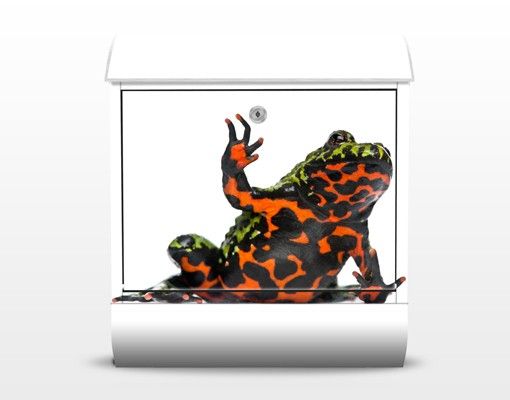 Brevlådor röd Fire-bellied Toad