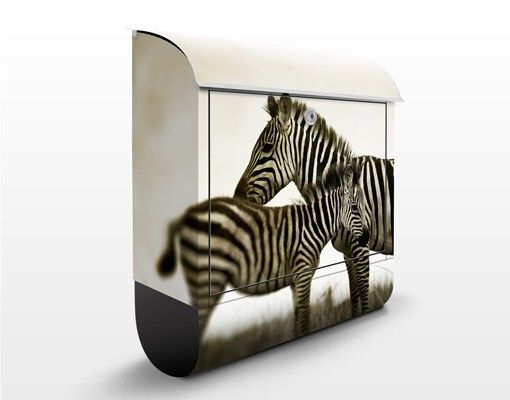 Brevlådor svart och vitt Zebra Couple
