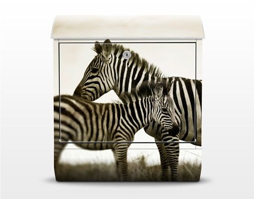 Brevlådor djur Zebra Couple
