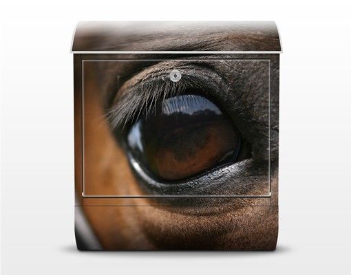 Brevlådor brun Horse Eye