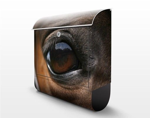Brevlådor Horse Eye